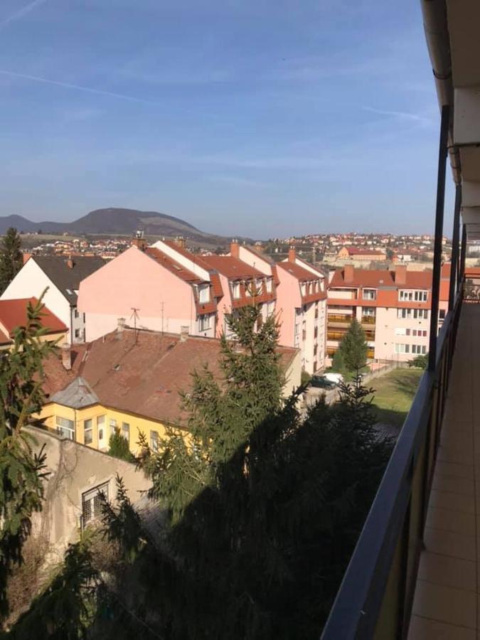 Ferienwohnung Dany Rose Apartman Erlau Exterior foto